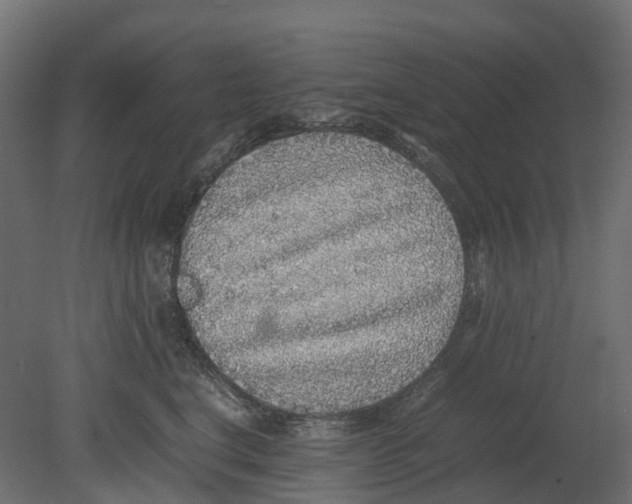 X0000080680664200701121700