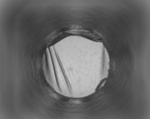 X0000080680665200701121700