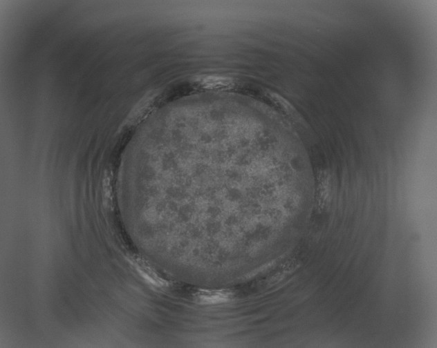 X0000080680667200701121700