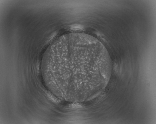 X0000080680668200701121700