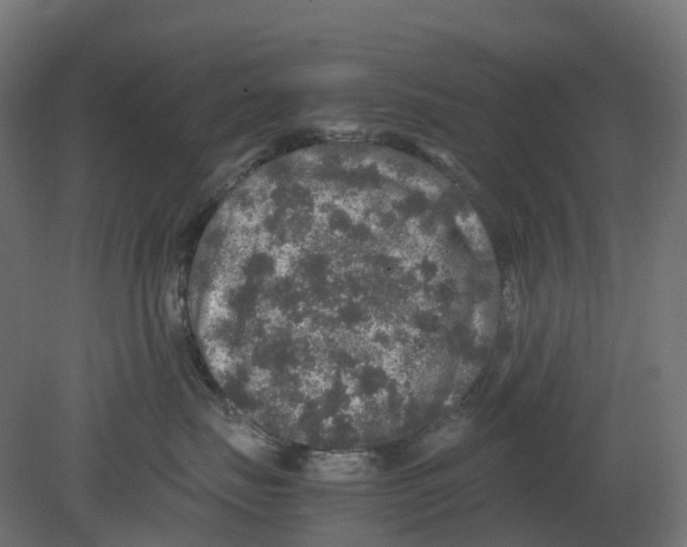 X0000080680671200701121700