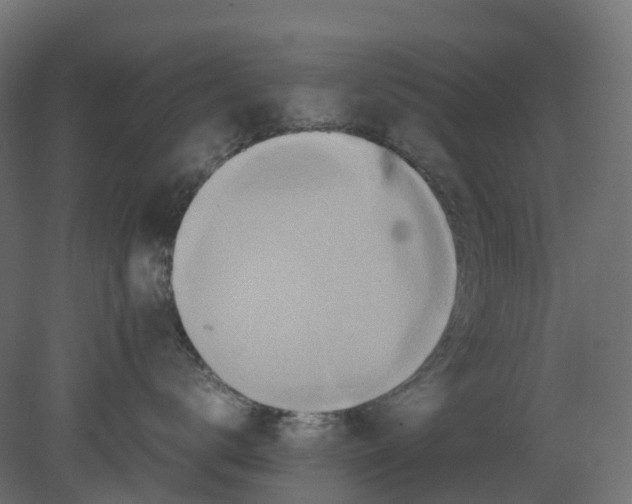 X0000080680672200701121700