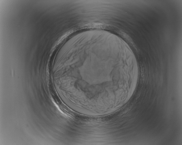 X0000080680674200701121659