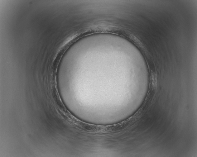 X0000080680675200701121659