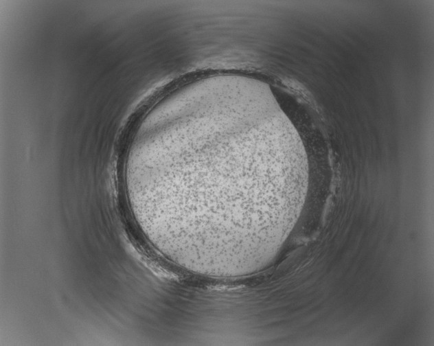 X0000080680680200701121659