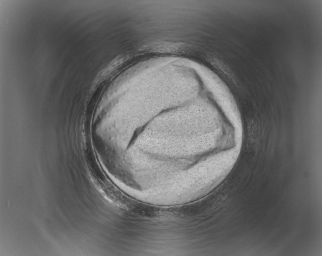 X0000080680682200701121659