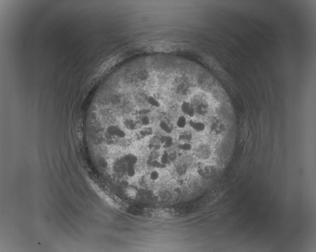 X0000080680683200701121659