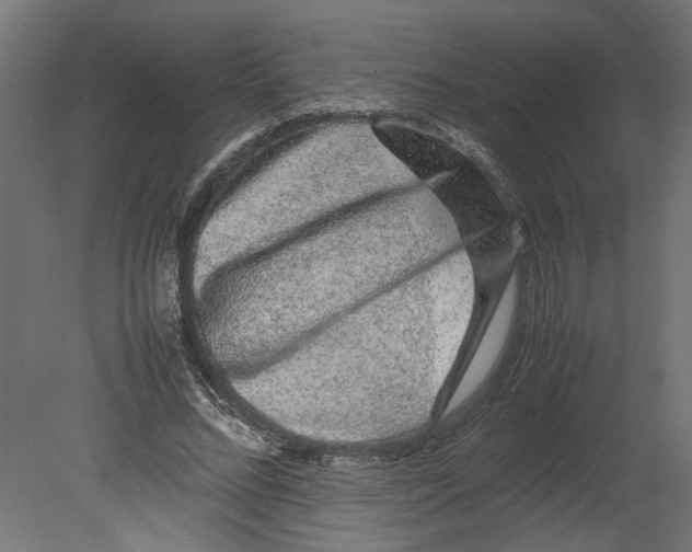 X0000080680684200701121659