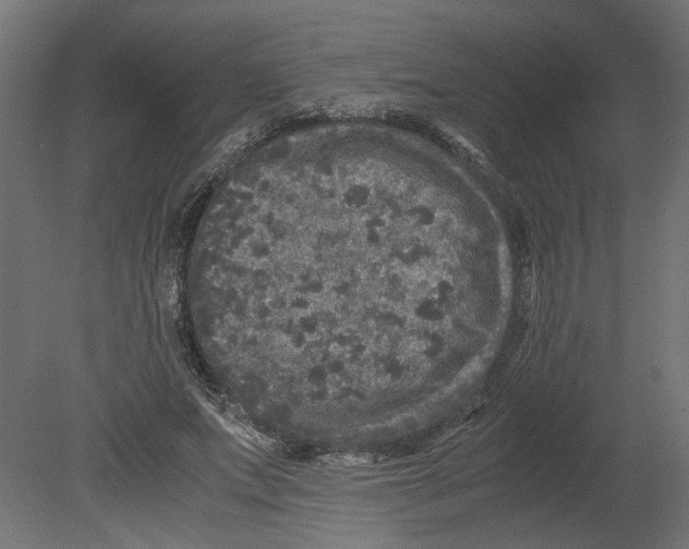 X0000080680687200701121659