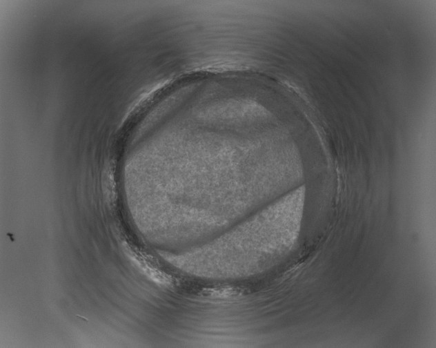 X0000080680688200701121659