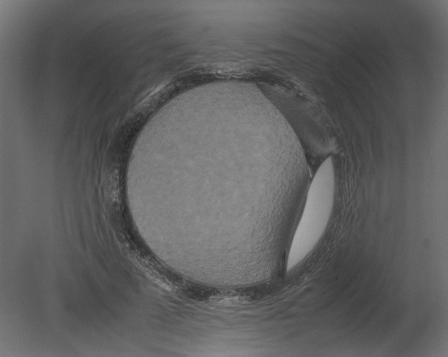 X0000080680689200701121659