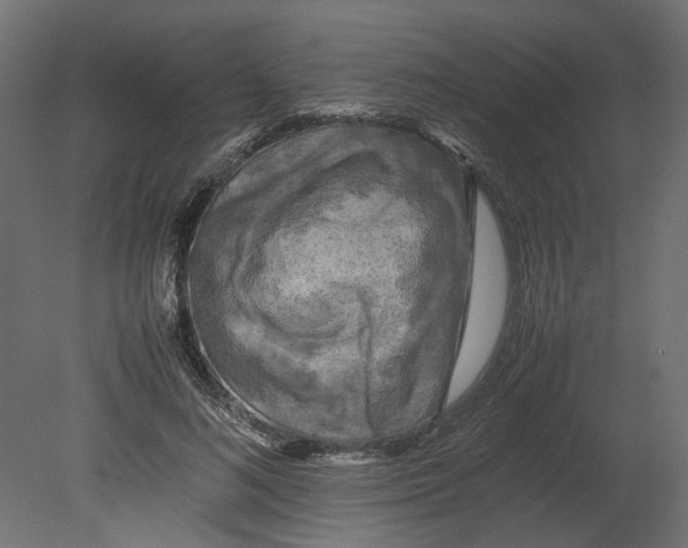 X0000080680692200701121659