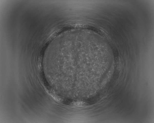 X0000080680695200701121659