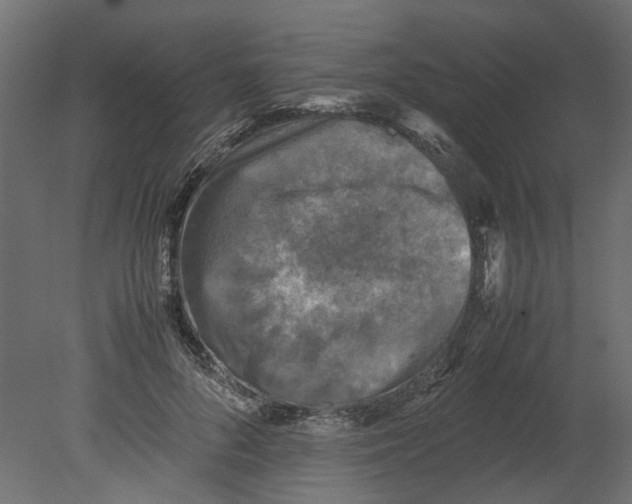 X0000080680696200701121659