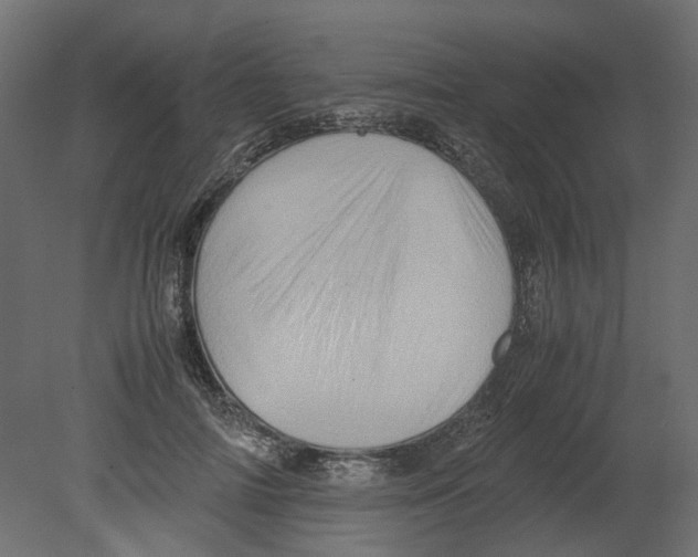 X0000080680698200701121659