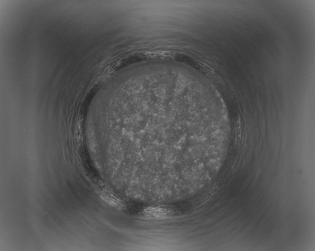 X0000080680699200701121659