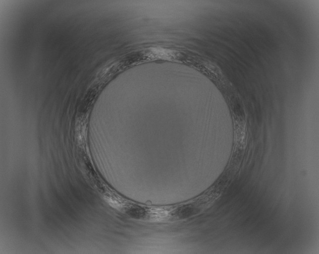 X0000080680701200701121659