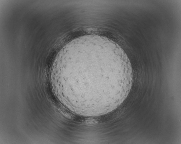 X0000080680702200701121659