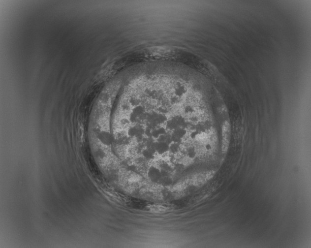 X0000080680703200701121659