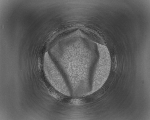 X0000080680704200701121659