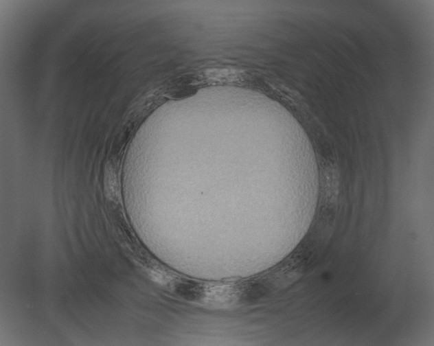 X0000080680705200701121659