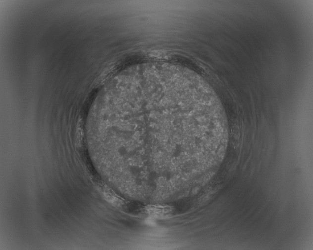 X0000080680707200701121659