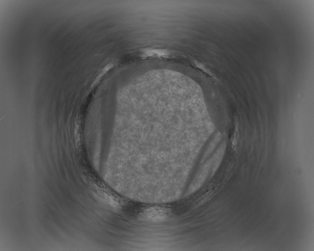 X0000080680708200701121659