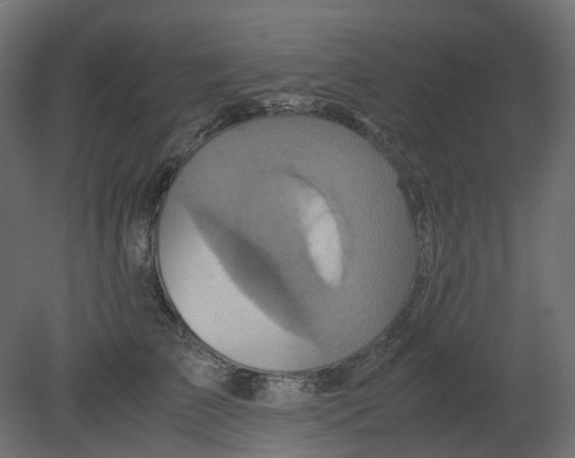 X0000080680709200701121659