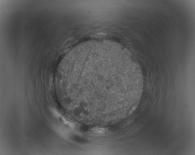 X0000080680711200701121659