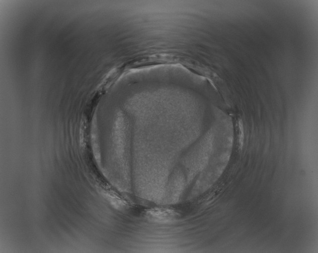 X0000080680712200701121659