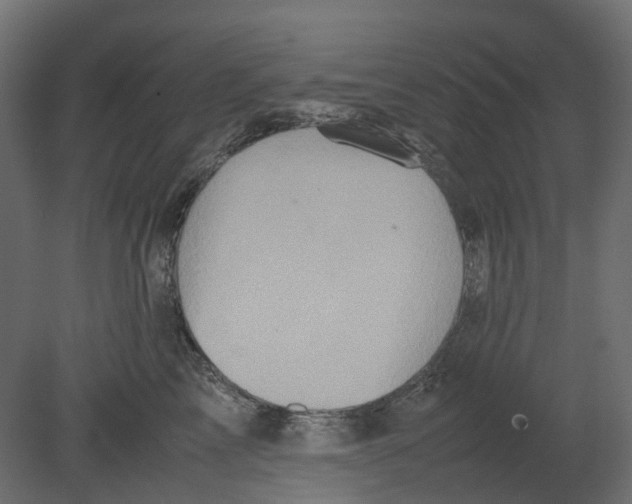 X0000080680713200701121659