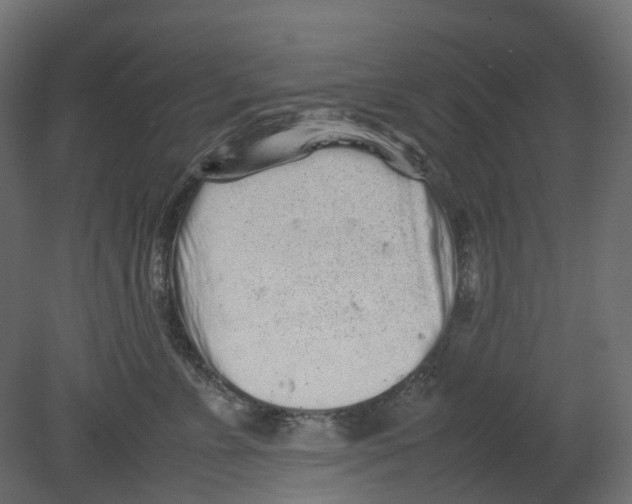 X0000080680715200701121659