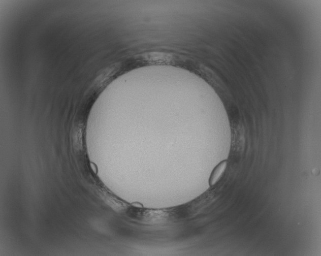 X0000080680717200701121659