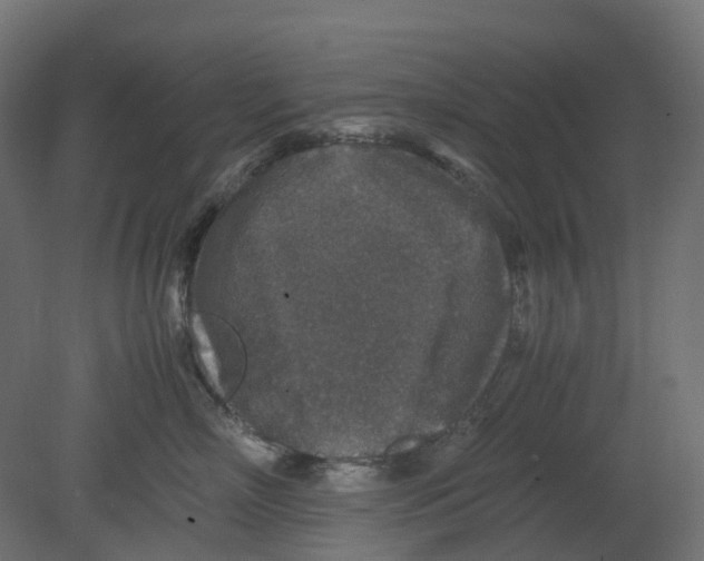 X0000080680718200701121659