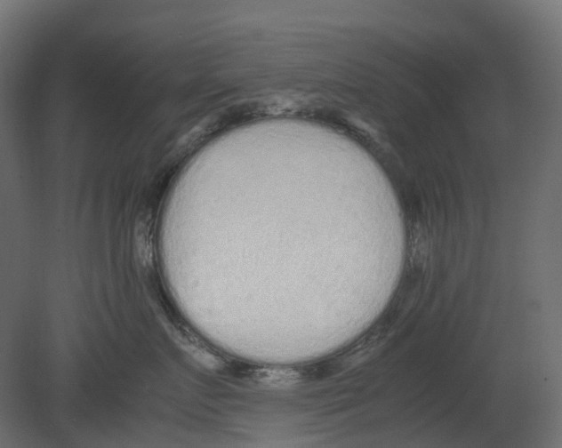 X0000080680719200701121659