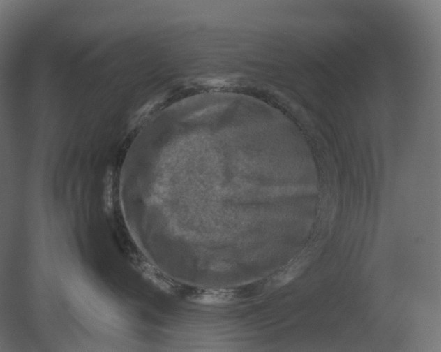 X0000080680720200701121659