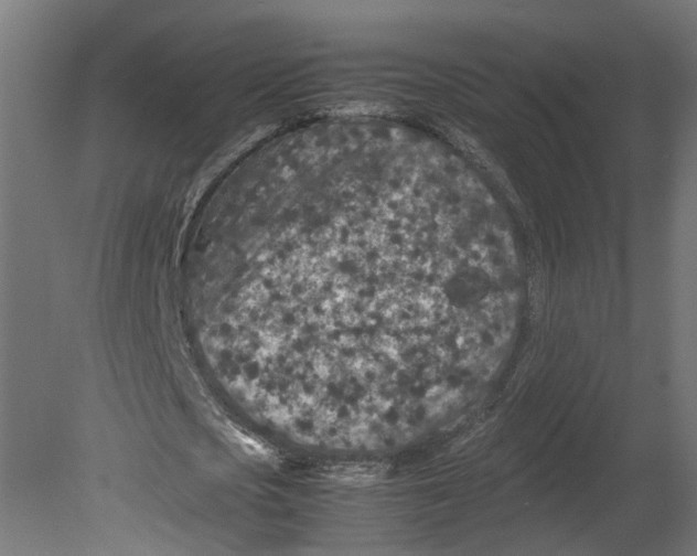 X0000080680721200701121658