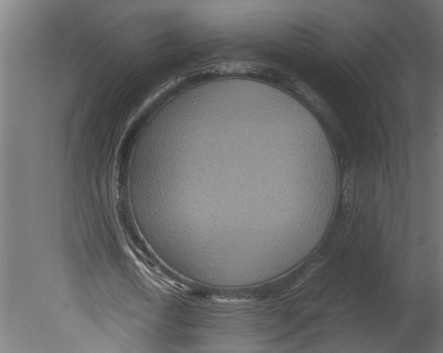 X0000080680722200701121658