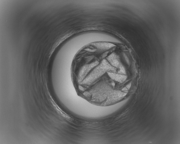 X0000080680725200701121658