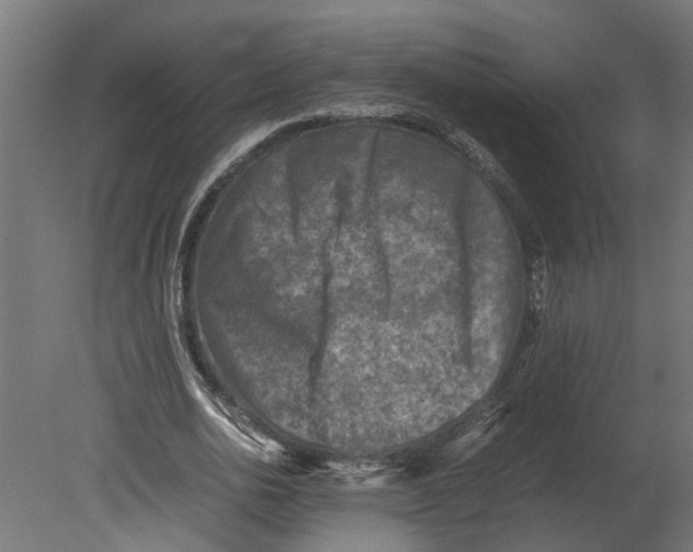 X0000080680726200701121658