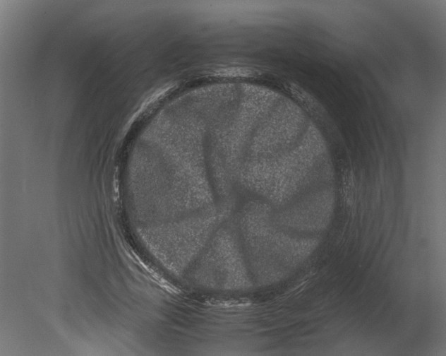 X0000080680731200701121658