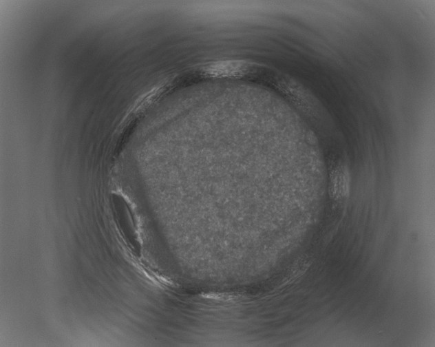 X0000080680733200701121658