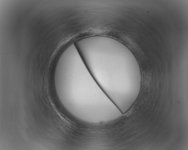 X0000080680736200701121658