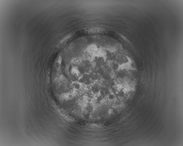 X0000080680737200701121658