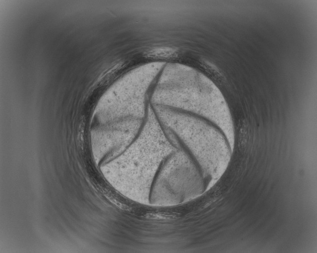 X0000080680739200701121658