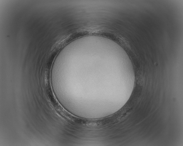 X0000080680740200701121658