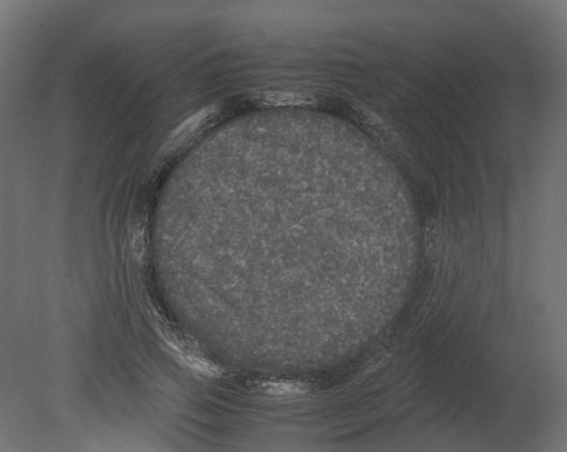 X0000080680741200701121658