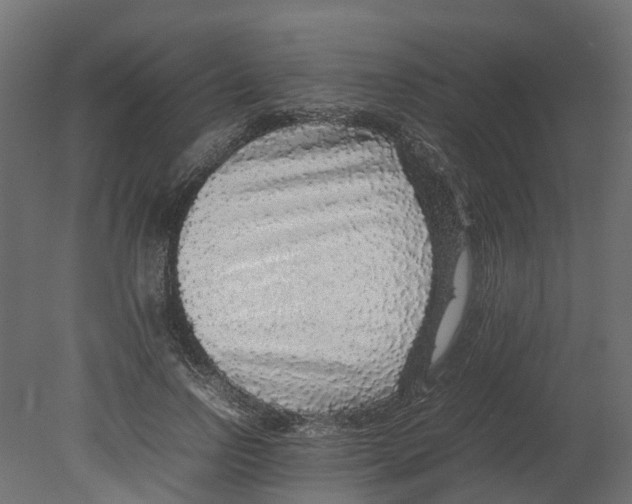 X0000080680742200701121658