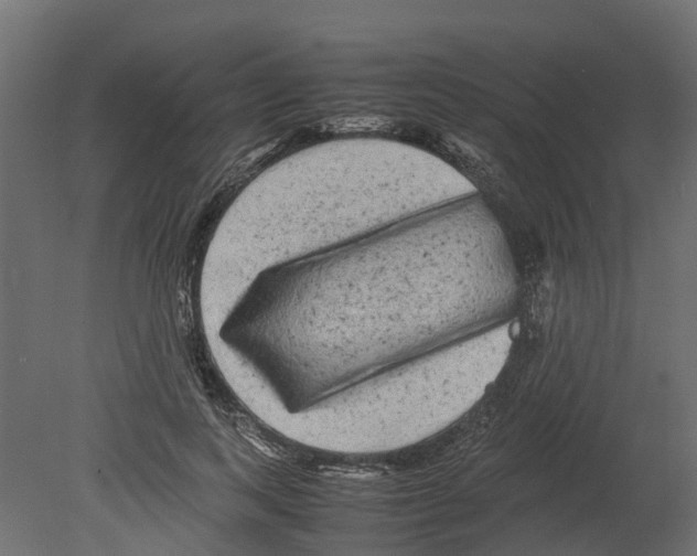 X0000080680743200701121658