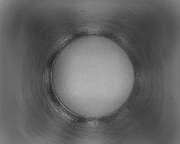 X0000080680744200701121658